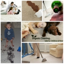 SunCal Carpet Clean - Carpet & Rug Cleaners