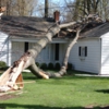 C Nicols Tree Service gallery