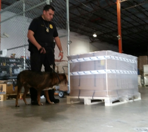 PROFESSIONAL SECURITY SERVICES - Miami, FL. K-9 SECURITY DOG