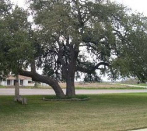 Tree  Musketeers LLC - San Antonio, TX