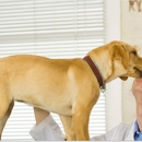 South Dixie Animal Hospital - Veterinary Labs