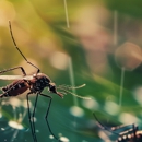 Lady Bug Pest Control Inc - Pest Control Equipment & Supplies