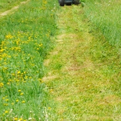 Gallery Image Number 2