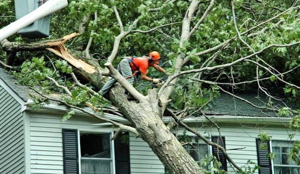 Eastern Tree Experts LLC - Guilford, CT