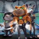 Catseye Pest Control - Pest Control Services
