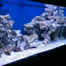 Salty Reef Aquatics - Public Aquariums