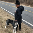 San-Mar Kennels - Pet Boarding & Kennels