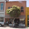 Great Bear Coffee gallery