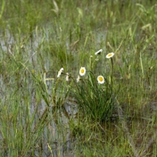Gallery Image Number 8