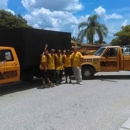 Morris Tree Service - Property Maintenance
