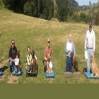 The Dog Squad