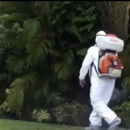 Ideal Pest Control Inc - Pest Control Services