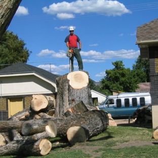 Seven Trees Tree Experts - Spanish Fork, UT