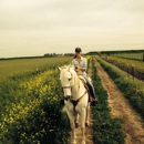 Gum Tree Ranch - Horse Stables