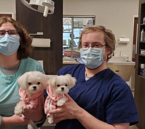 Kirtland Veterinary Hospital - Kirtland, OH