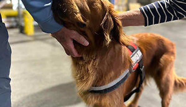 Rue's Kennels @ LAX - Inglewood, CA