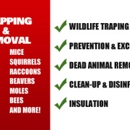 Affordable Wildlife Solutions
