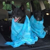 All Precious Pawz gallery