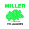Miller Tree & Landscape gallery