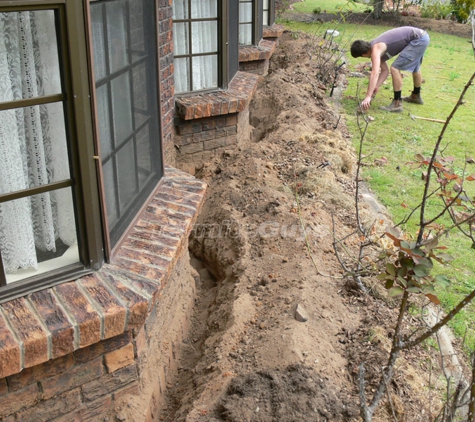 Termite Guys Brisbane
