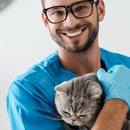 Vetinsure - Pet Insurance
