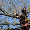Cornerstone Tree and Landscape Services gallery