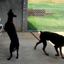Pet Play Place - Dog Training