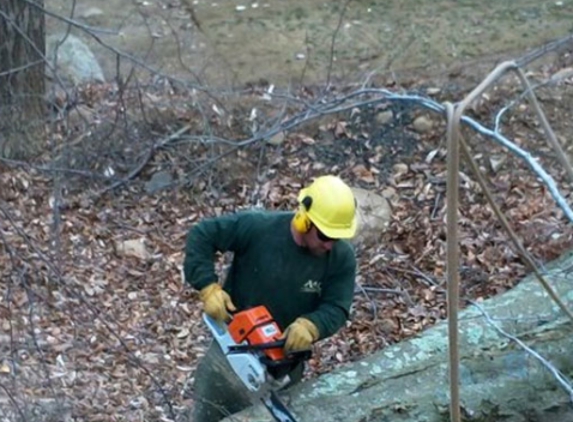 A & L Tree Experts - Madison, CT