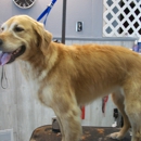 Stacy's Pet Salon