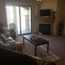 Silver Pines Condos & Apartments - Apartments