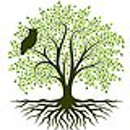 Primary Functional Medicine - Holistic Practitioners