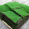 Affordable SOD, Soil & Nursery gallery