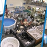 Blue Dolphin Pools & Spas, Inc - A BioGuard Platinum Dealer - Bedford, NH