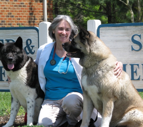 Small Animal Medicine & Surgery PA - Salisbury, NC