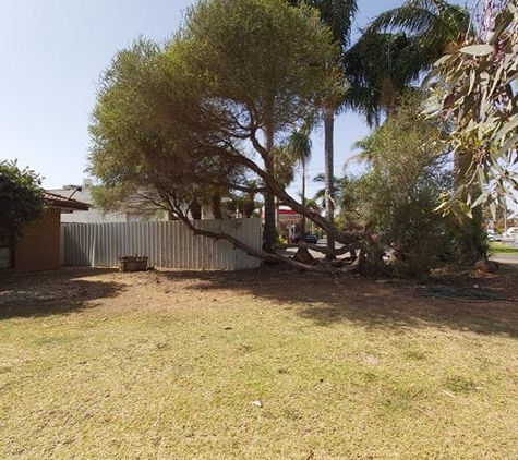Cohrs & Sons Pty Ltd - Mildura, VIC. Tree cleared from power lines