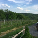 Walpole Mountain View Winery - Wine