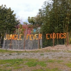 Jungle Fever Exotics