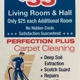Perfection Plus Carpet Cleaning