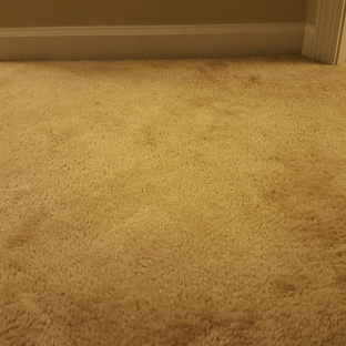 Carpet Restretch Repair - Lorain, OH