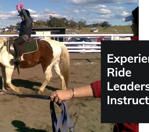 Darkes Forest Riding Ranch - Darkes Forest, NSW. Experienced Ride Leaders And Instructors