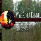 Wye River Kennel