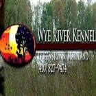 Wye River Kennel