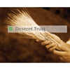 Deseret Trust Company gallery