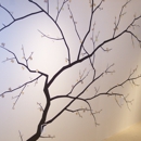 Walls by Mitchell - Painting Contractors