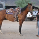 Cave Springs Horse Boarding - Horse Dealers