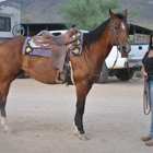 Cave Springs Horse Boarding