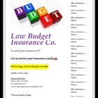 Low Budget Insurance Co.