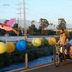 The Los Angeles Pedicab Company