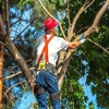 Stallworth's Tree Service Huntsville gallery