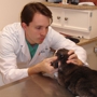 Frederick Cat Vet